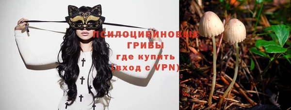 а пвп мука Белокуриха
