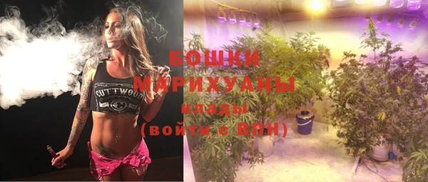 ПСИЛОЦИБИНОВЫЕ ГРИБЫ Беломорск