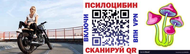 Псилоцибиновые грибы Psilocybe  Ленск 